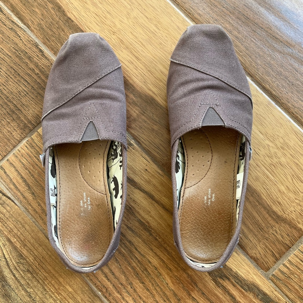 Gray Toms